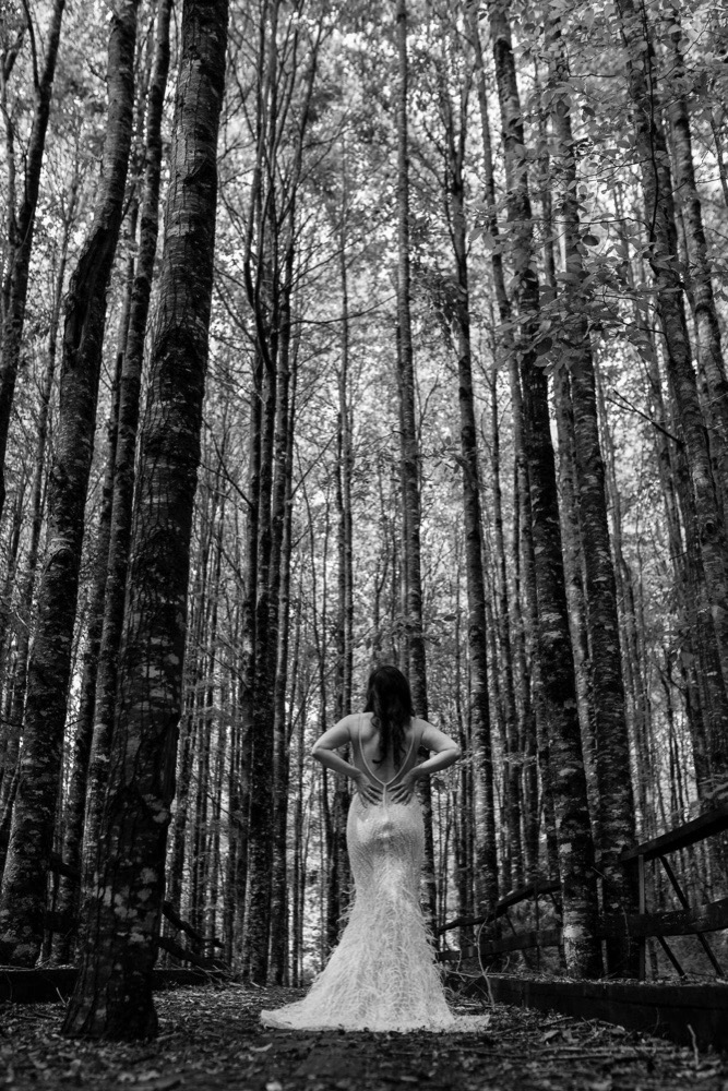 Novia de espaldas entre altos árboles del bosque